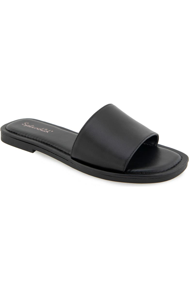 Splendid Dolly Slide Sandal, Main, color, Black