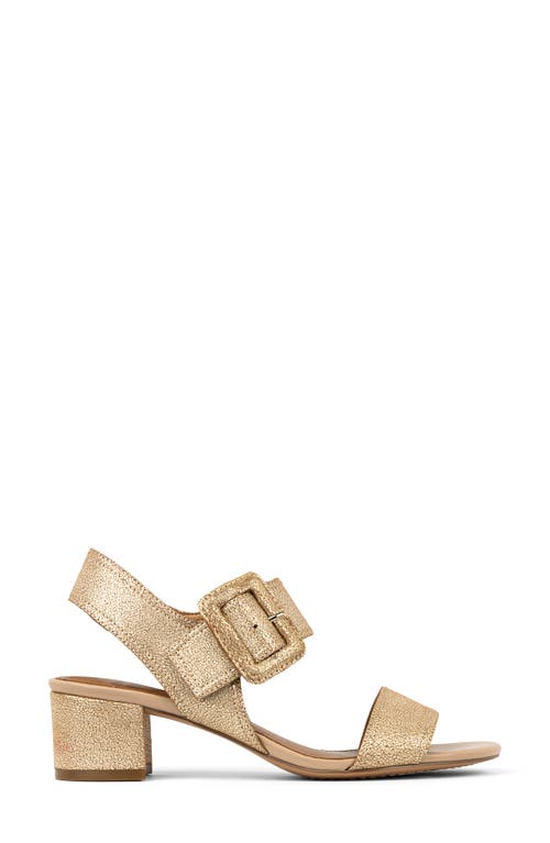 DONALD PLINER DONALD PLINER ANKLE STRAP SANDAL 