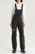 The North Face Freedom Insulated Waterproof Snow Bib Overalls