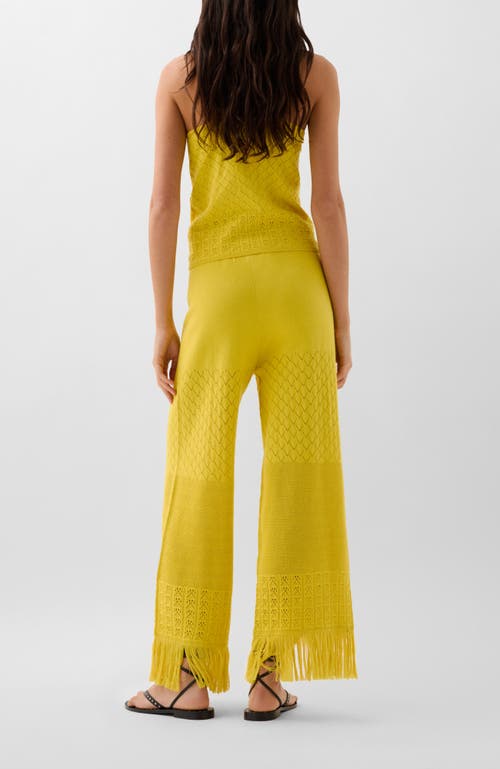 Scalpers Pointelle Knit Top In Green