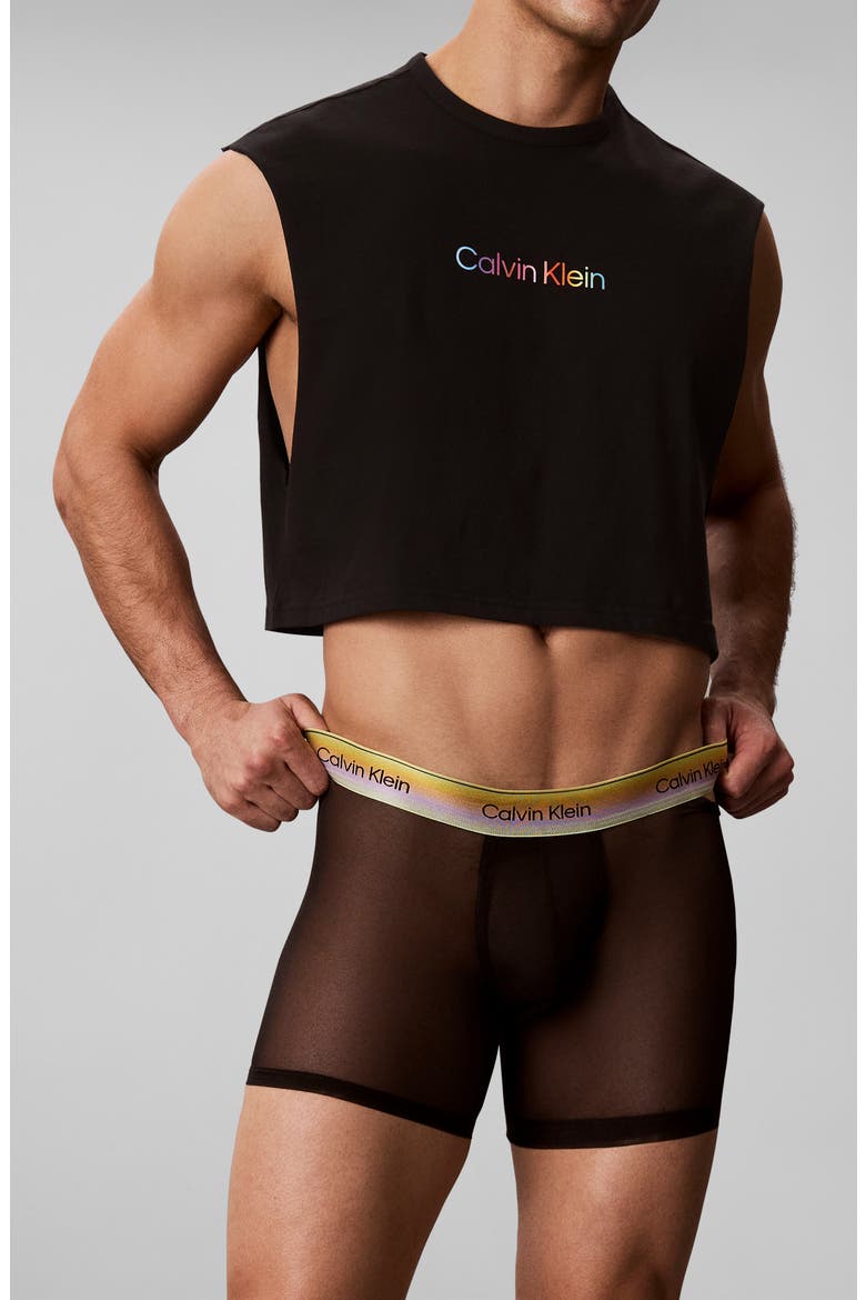 Pride Sheer Mesh Boxer Briefs, Alternate, color, BLACK