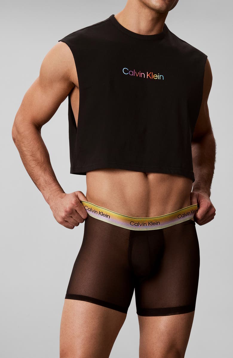 Calvin Klein Pride Sheer Mesh Boxer Briefs, Alternate, color, Black