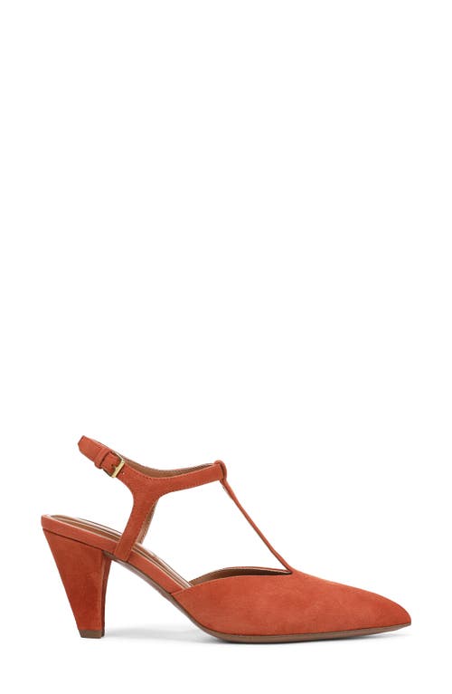 Franco Sarto Ovett Pointed Toe T-strap Pump In Brown