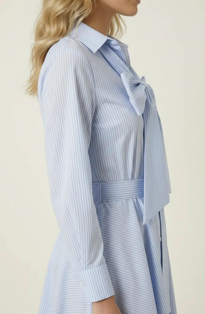 Modenaire Striped Tie Neck Bow Waist Belt Shirt Dress, Alternate, color, Light Blue / White Stripes