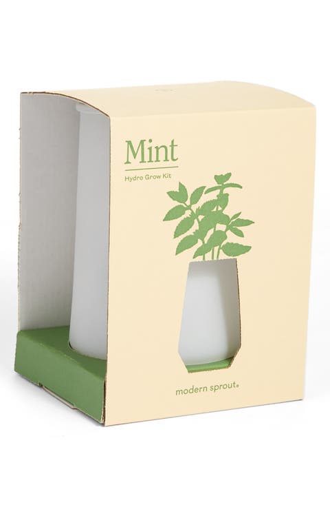 Tapered Tumbler