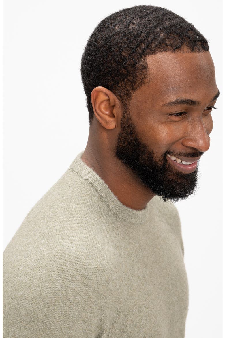 Raglan Crewneck Sweater, Alternate, color, ARTICHOKE