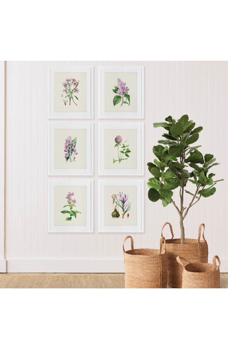 Napa Home & Garden Flower Study Prints Set of 6, Alternate, color, Purple