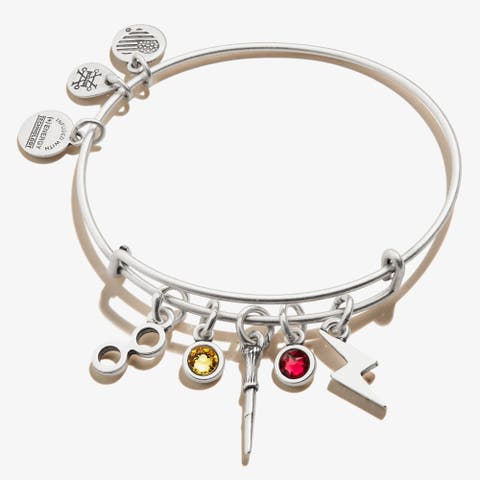 Harry Potter™ Hemione Multi Charm Bangle Bracelet