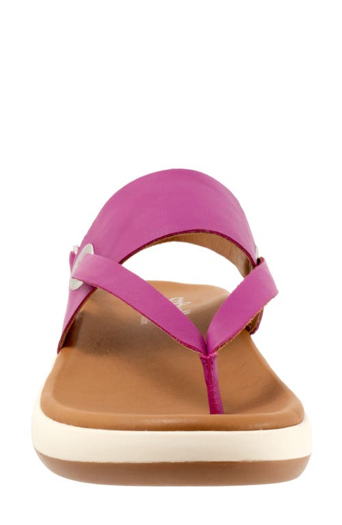 Softwalk ® Joliet Slingback Sandal In Magenta