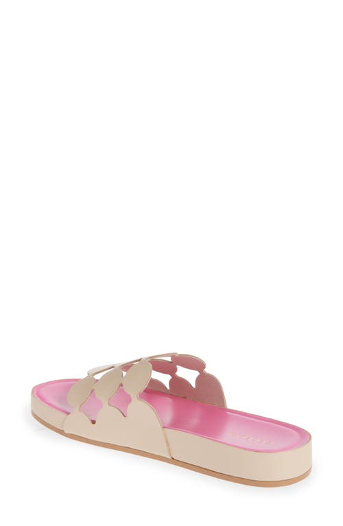 Cecelia New York Emily Slide Sandal In Tea