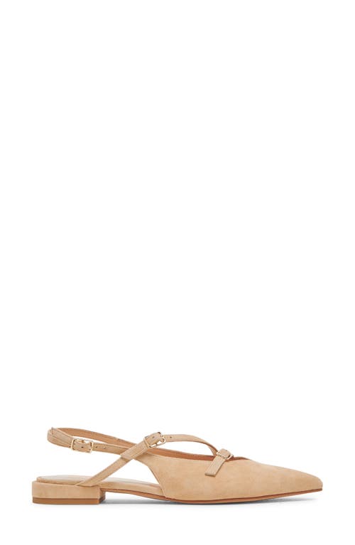 Dolce Vita Pamla Pointed Toe Slingback Flat