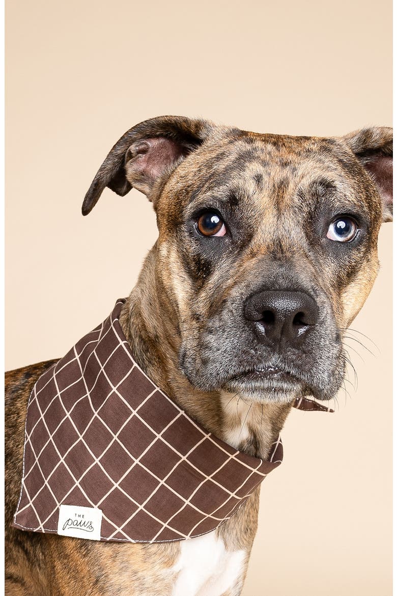 Stratford Dog Bandana, Alternate, color, BROWN