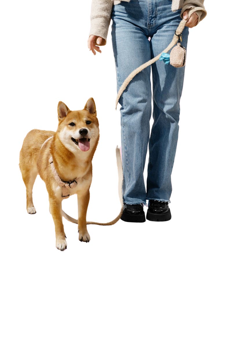 Teddy Bouclé Adjustable H Harness and Leash Walk Set with Poop Bag Pouch, Alternate, color, Beige