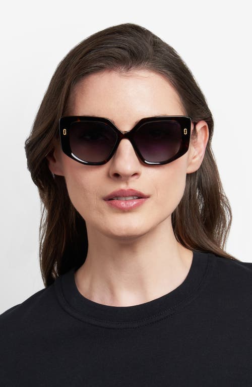 Marc Jacobs 1116s Butterfly Acetate Sunglasses In Havana/dark Grey Sf