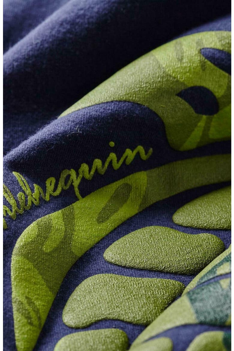 Kids' Organic Cotton Turtles Camo Placed T-Shirt, Alternate, color, BLEU MARINE
