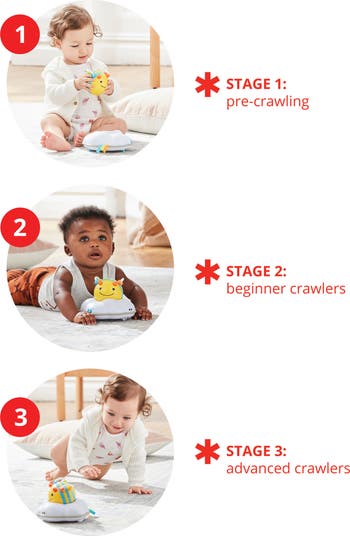 Explore & More Follow Bee Crawl Toy