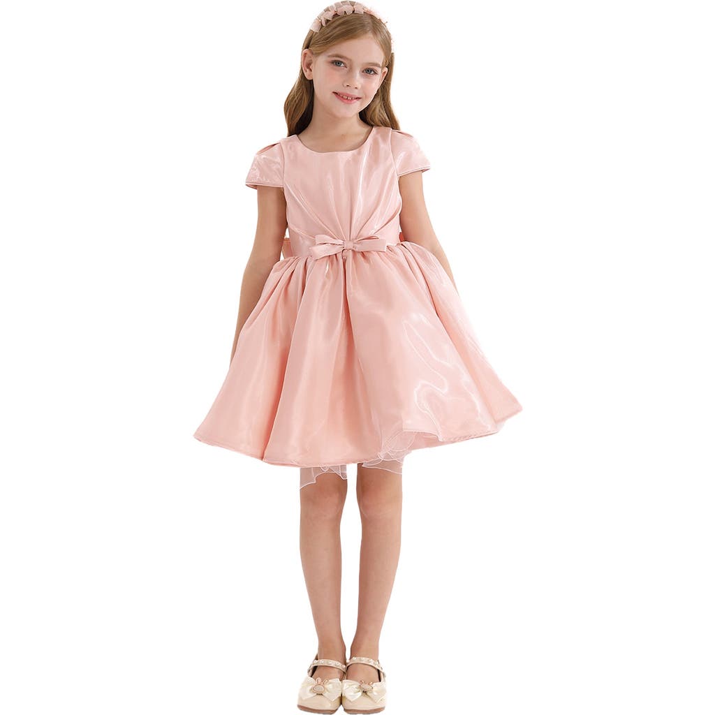 Tulleen Solera Dress In Pink