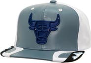 Mitchell & Ness Men's Mitchell & Ness  Gray Chicago Bulls Day 6 Snapback Hat