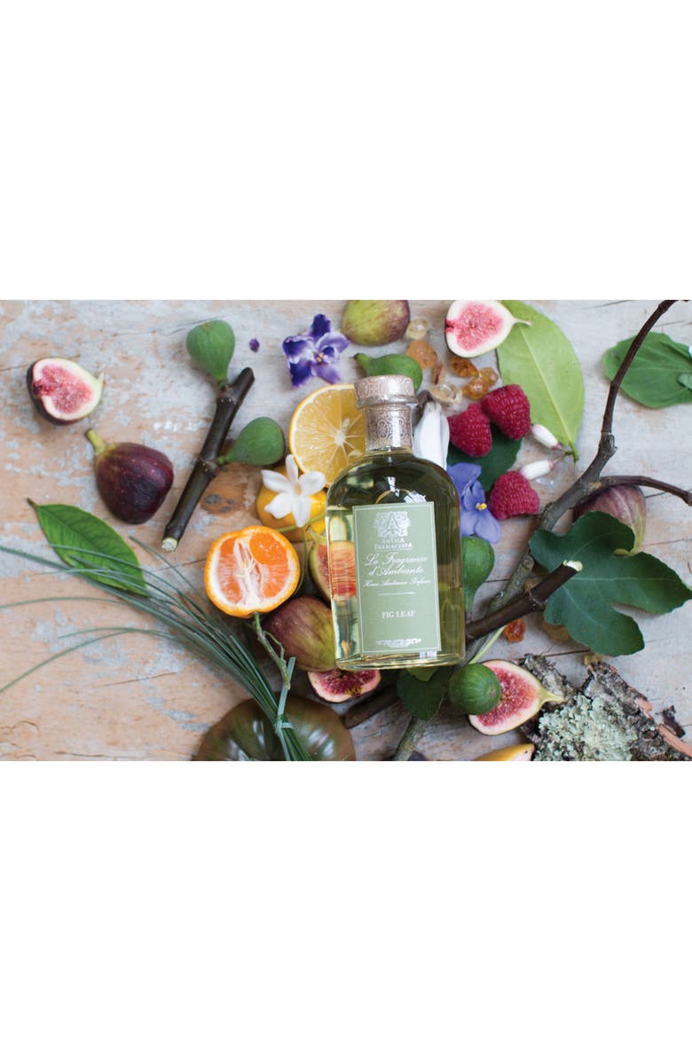 Antica Farmacista Fig Leaf Home Ambiance Perfume, Alternate, color, 