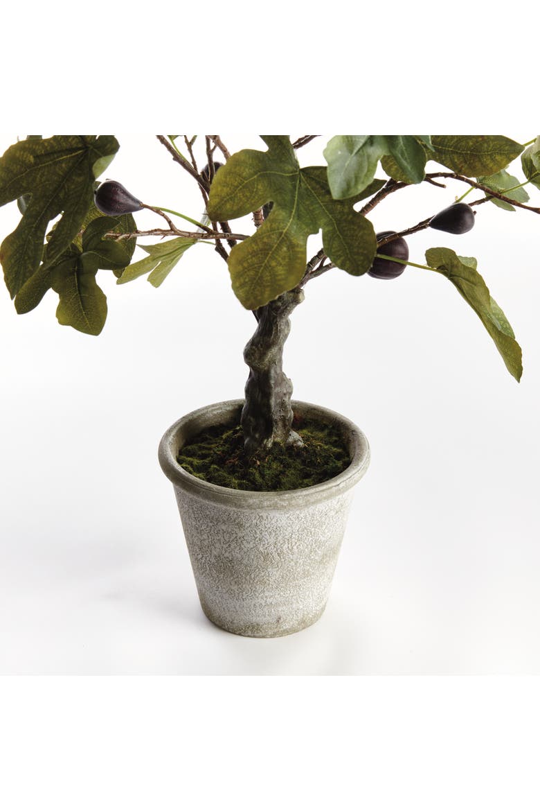 Fig Tree With Figs Potted Drop-In 34", Alternate, color, Green