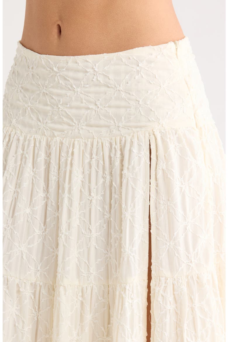 Embroidered Maxi Skirt, Alternate, color, CREAM
