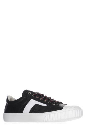 Pajar Trevor Low Top Sneaker In Black