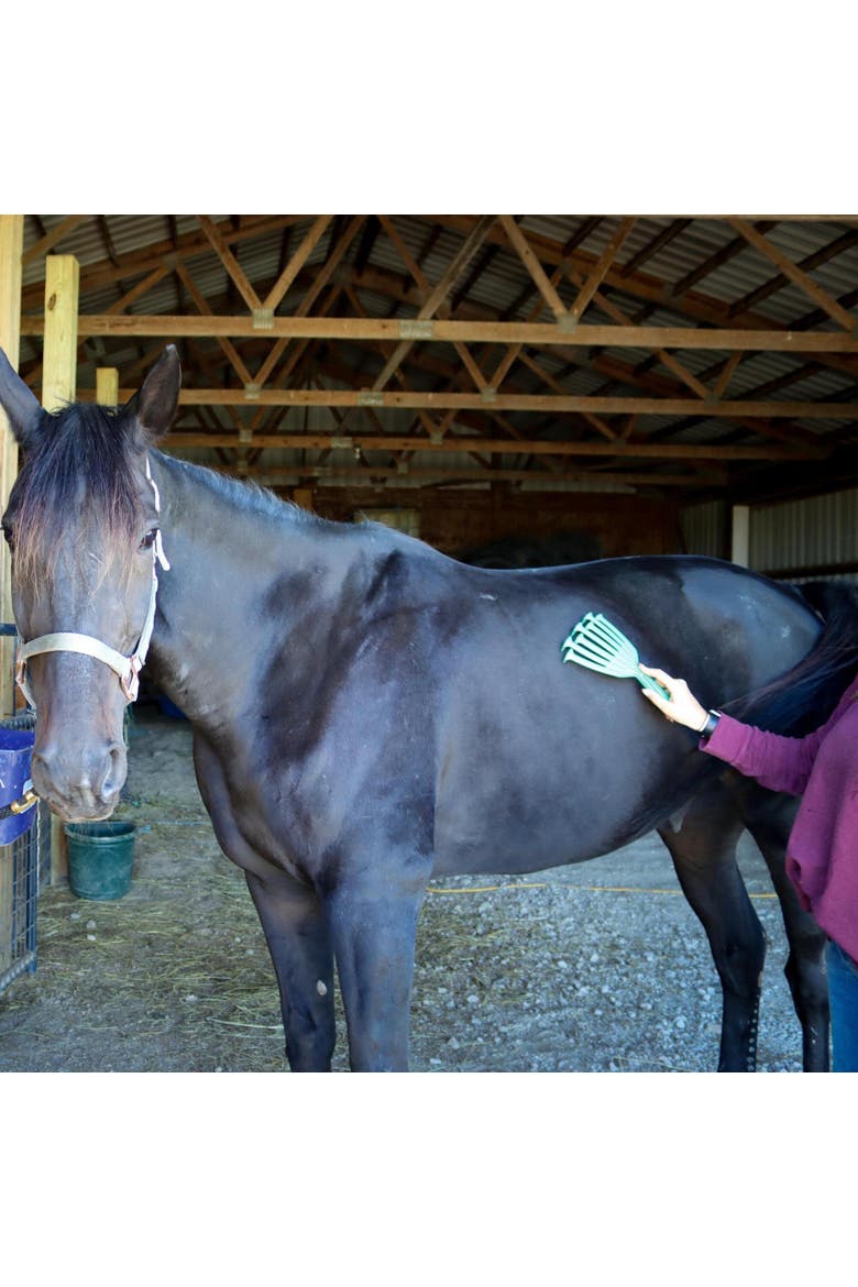 Deshedding Tool For Horses, Alternate, color, Green