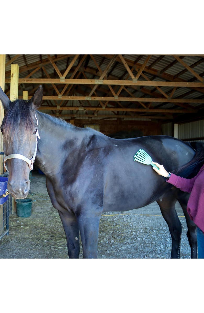 PetKORE Deshedding Tool For Horses, Alternate, color, Green