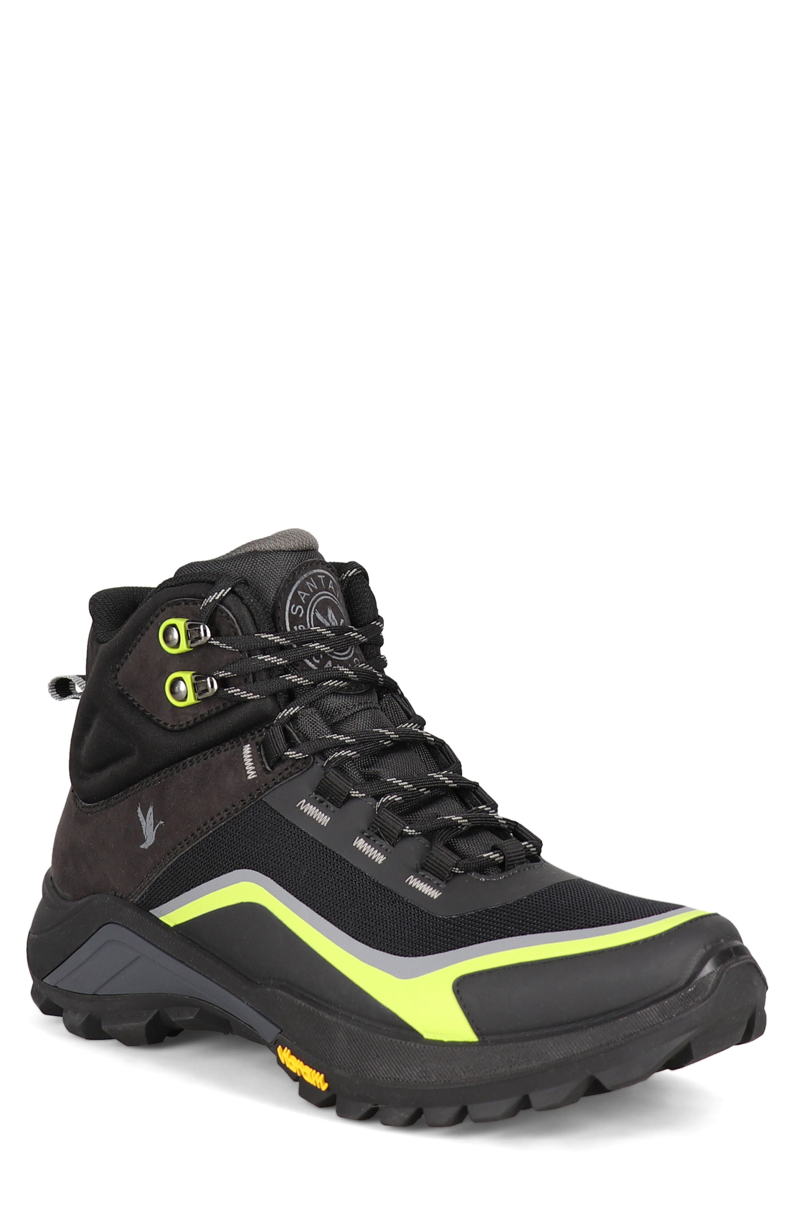 BLACK LIME