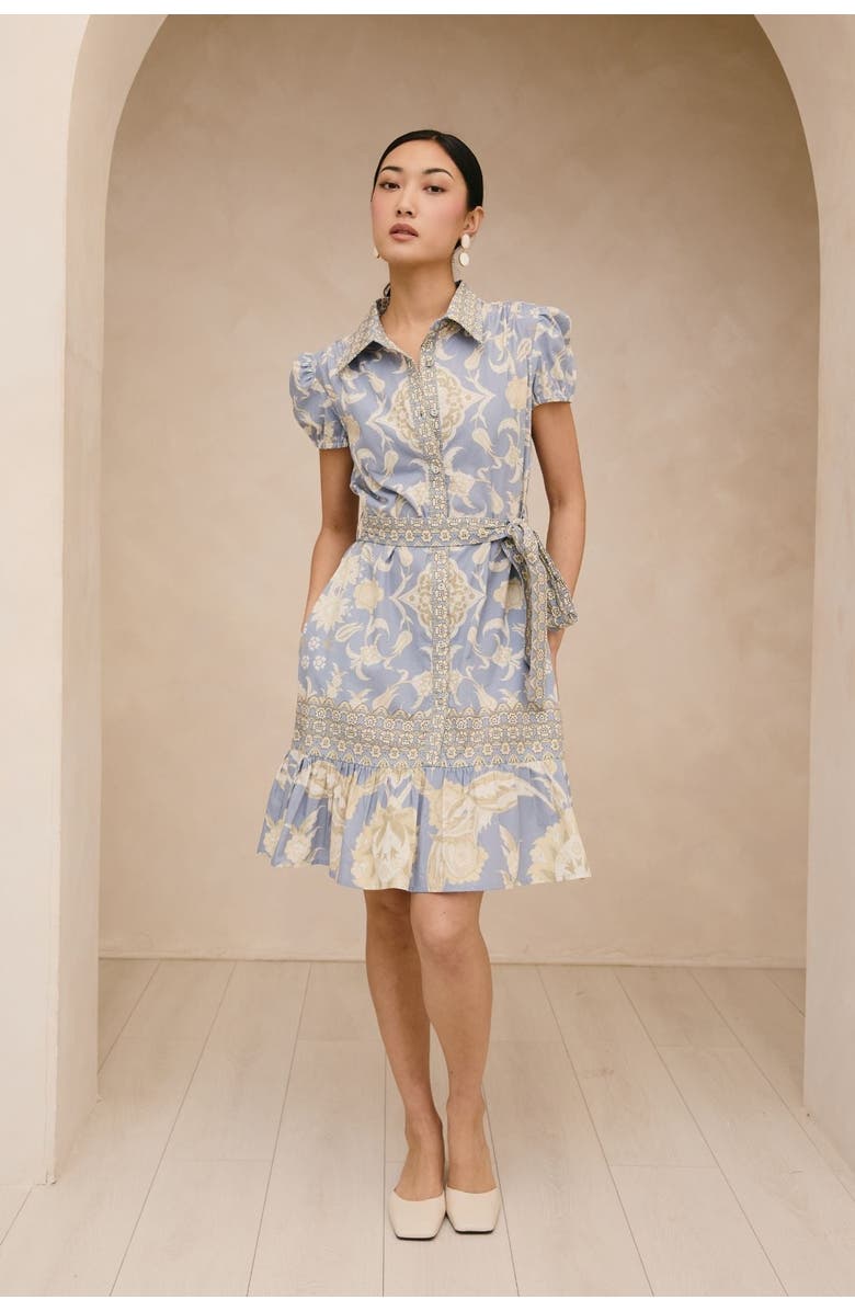 RAISHMA Etta Dress, Main, color, Blue Tone