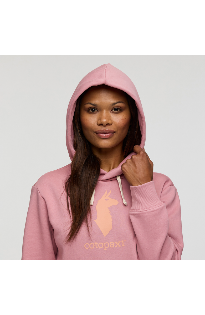 Cotopaxi-Amigos-24 Cotopaxi Llama Pullover Hoodie - Women's, Alternate, color, Pebble