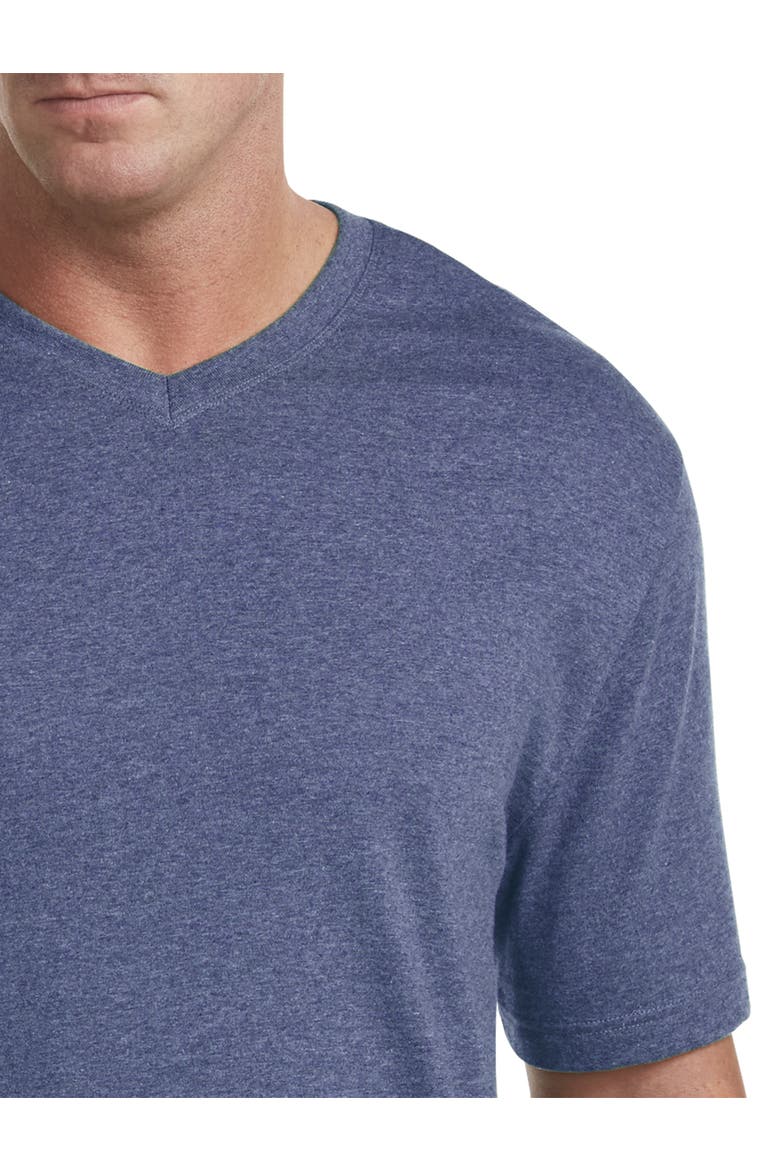 Big & Tall Moisture-Wicking Jersey V-Neck T-Shirt, Alternate, color, LIMOGES HTHR