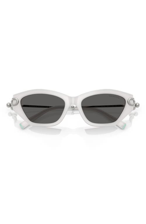 Tiffany & Co . 53mm Cat Eye Sunglasses In Multi