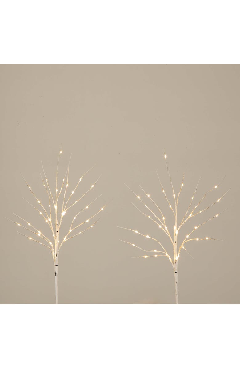 NEARLY NATURAL 24-in Pre-Lit Artificial White Birch Branches with 80 Warm White LED Lights - Set of 2, Alternate, color, White