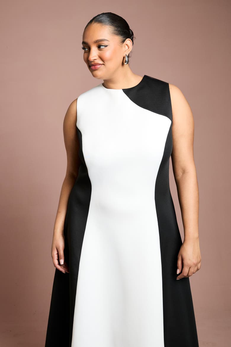 Plus Colour Block Fit Flare Midi Dress, Alternate, color, Mono