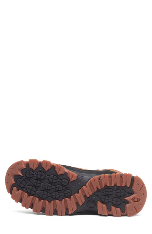 Timberland Mt. Maddsen Waterproof Hiking Boot In Brown