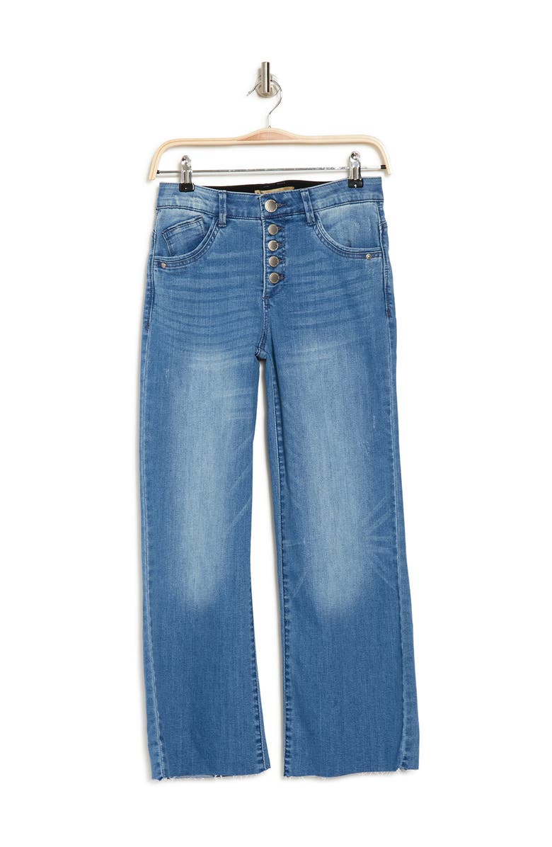 Democracy Button Fly Wide Leg Crop Jeans, Alternate, color,