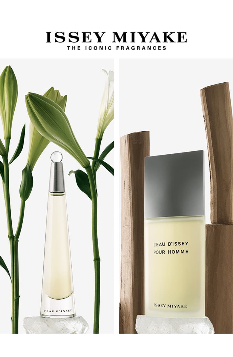 Issey Miyake L'Eau d'Issey Pour Homme Eau de Toilette Spray, Alternate, color, 