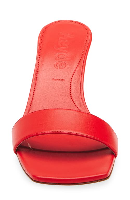 Aeyde Ilvy Slide Sandal In Multi