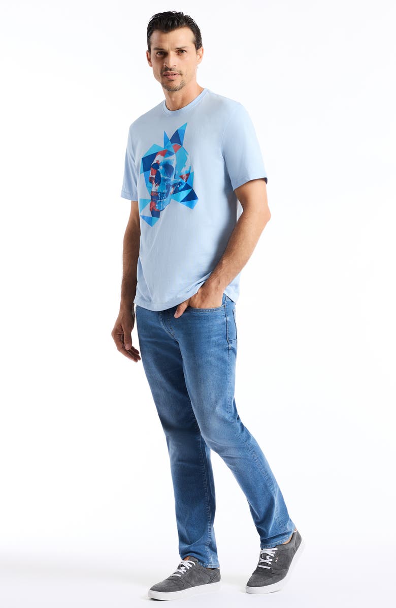 Robert Graham Diamond Skull Graphic T-Shirt, Alternate, color, Chambray