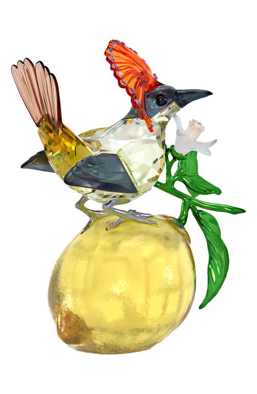 Swarovski Idyllia Royal Flycatcher Crystal Figurine In Multicolored