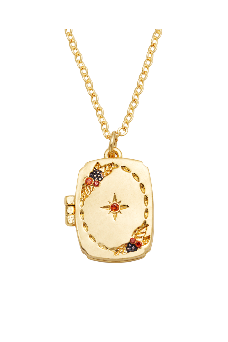 Orla Hedgerow Locket Necklace, Main, color, Gold