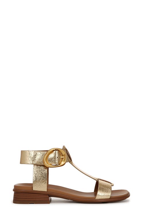 Naturalizer Brandy T-strap Sandal In Dark Gold