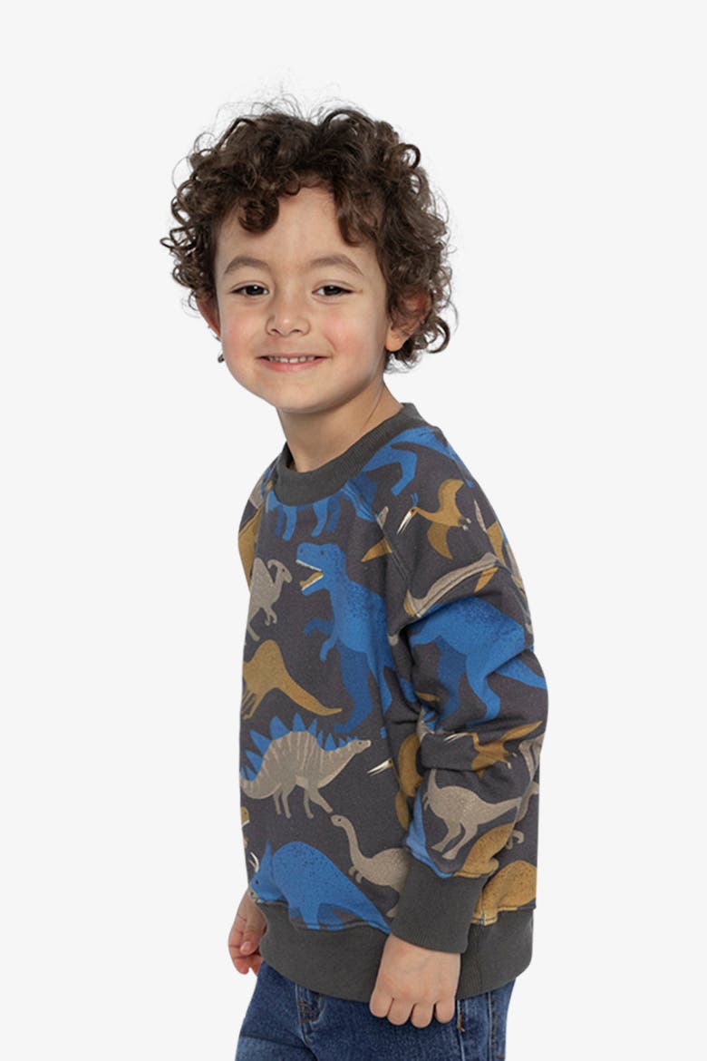 Crew Neck Dinosaur Fleece Sweatshirt, Alternate, color, Grey Dinosaur Print