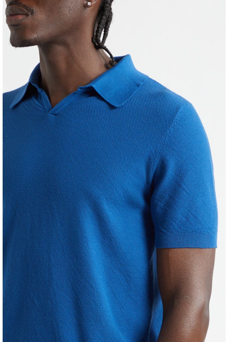 Garment Dyed Cotton Polo, Alternate, color, ROYAL BLUE