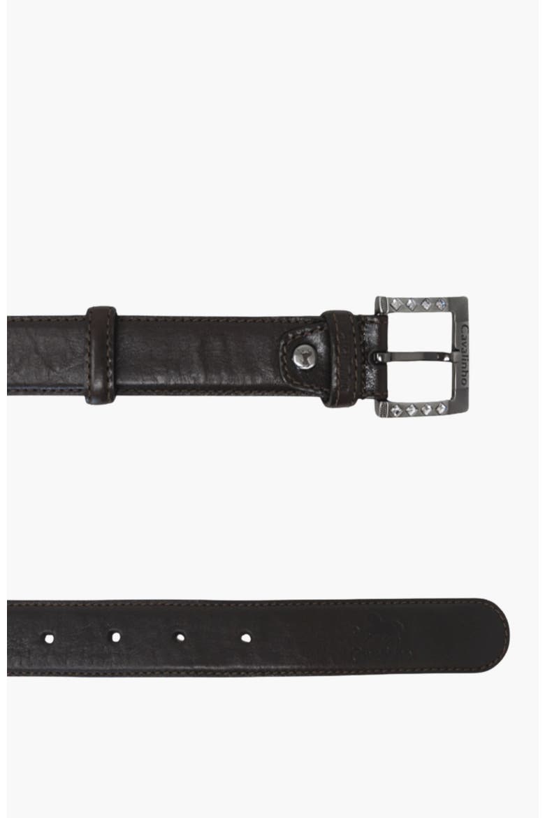 Classic 905 Leather Belt, Alternate, color, Brown / Silver