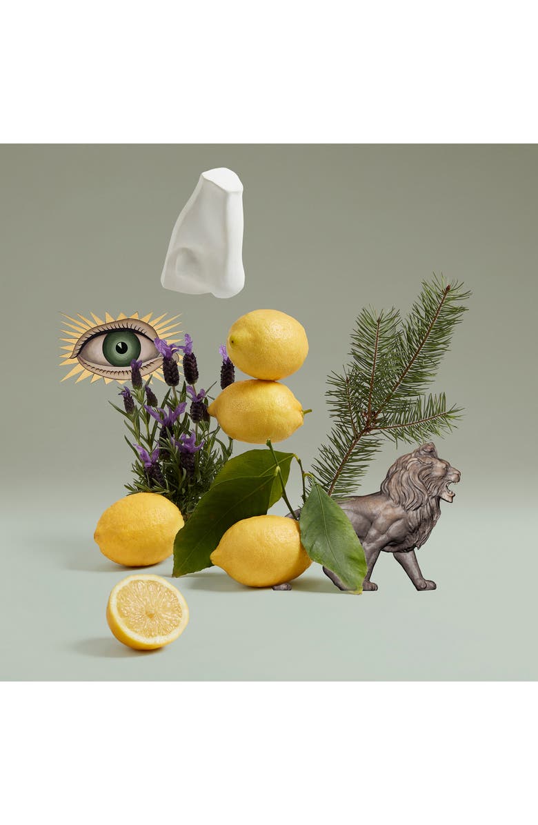 Penhaligon's Blenheim Bouquet Eau de Toilette, Alternate, color,