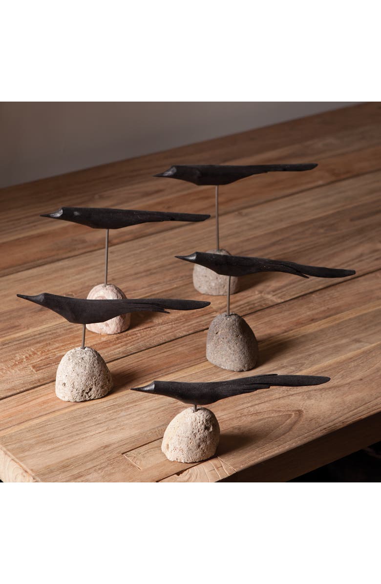 Napa Home & Garden The Flock Set of 5, Alternate, color, Black