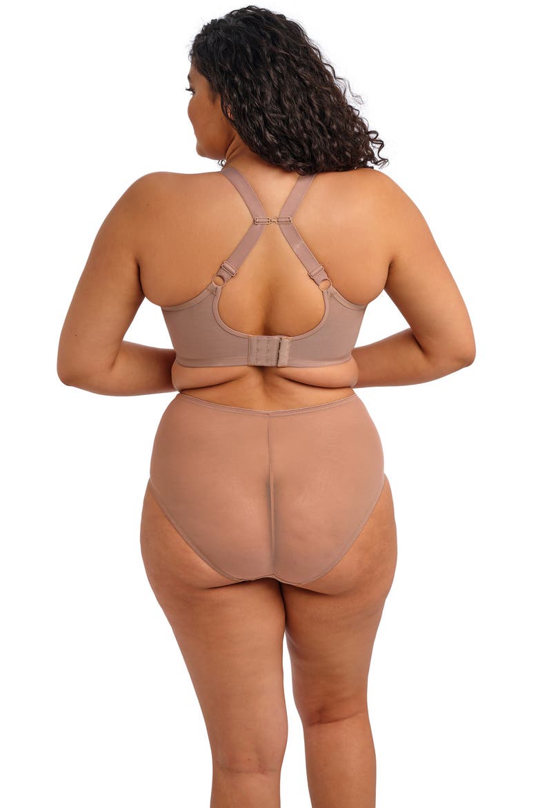 Matilda Full Figure Underwire Plunge Bra, Alternate, color, PRALIN