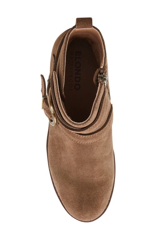 Blondo Dazie Waterproof Buckle Bootie In Taupe Suede
